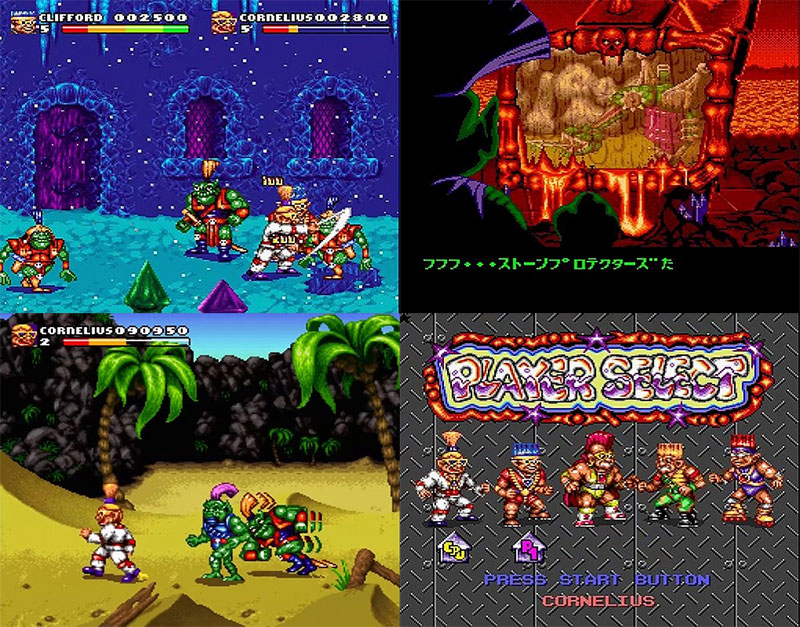 Back cover / image - Stone Protectors (Reprint) (New)