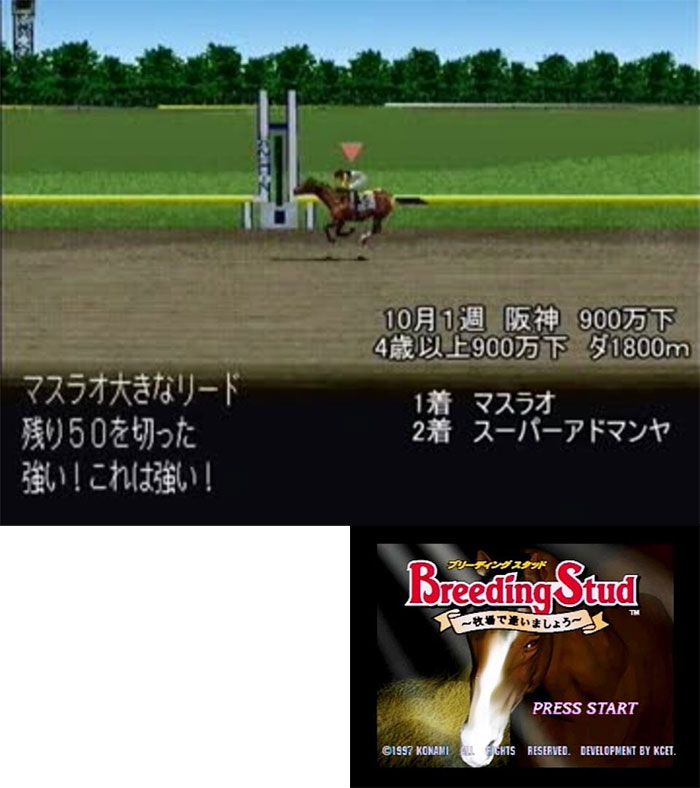 Back cover / image - Breeding Stud