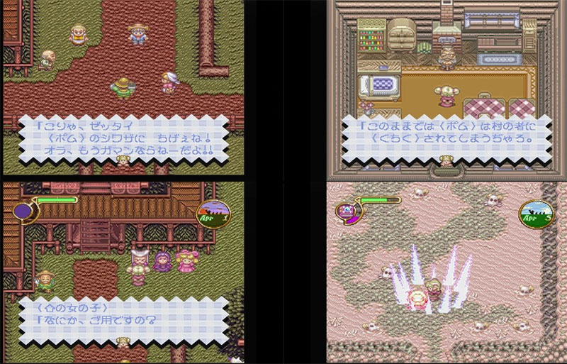 Back cover / image - Community POM