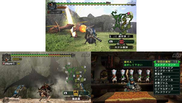 Back cover / image - Monster Hunter Portable